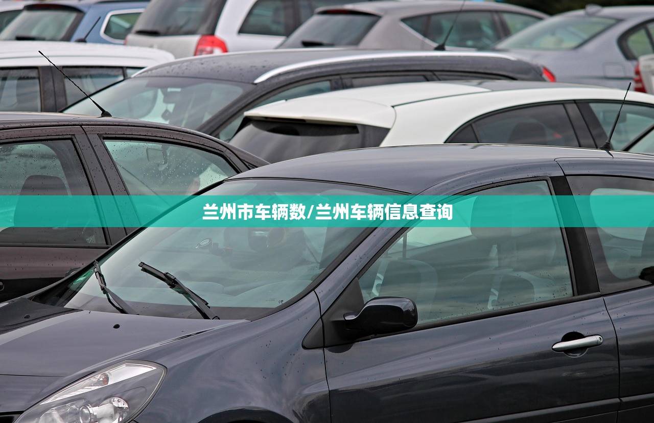 兰州市车辆数/兰州车辆信息查询