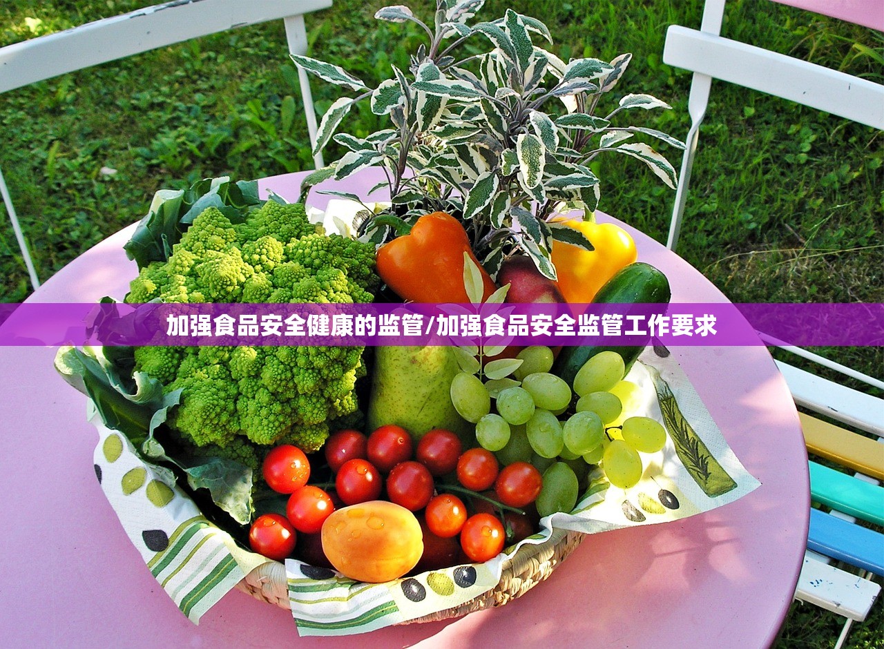 加强食品安全健康的监管/加强食品安全监管工作要求