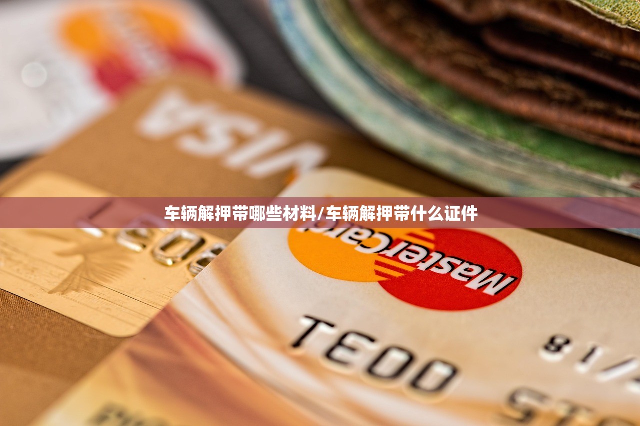 车辆解押带哪些材料/车辆解押带什么证件