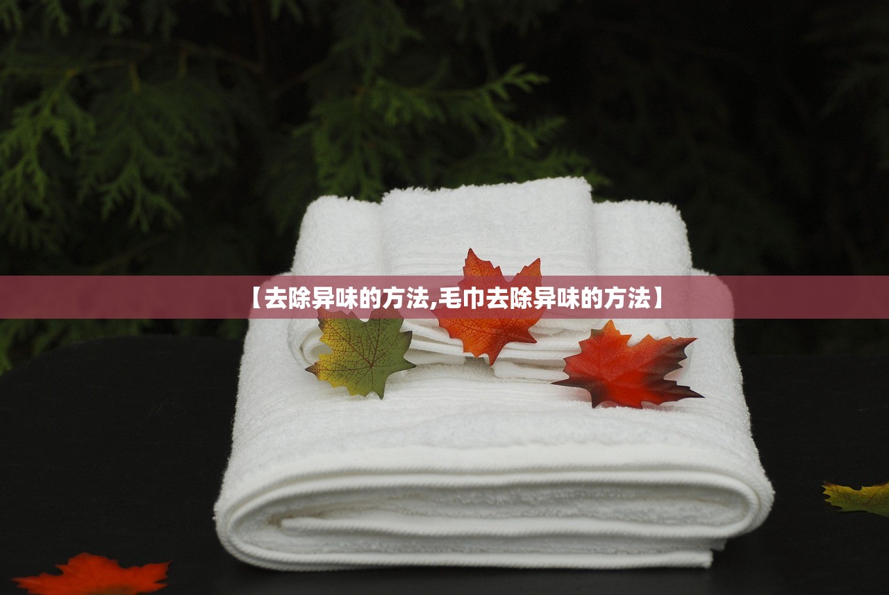 【去除异味的方法,毛巾去除异味的方法】