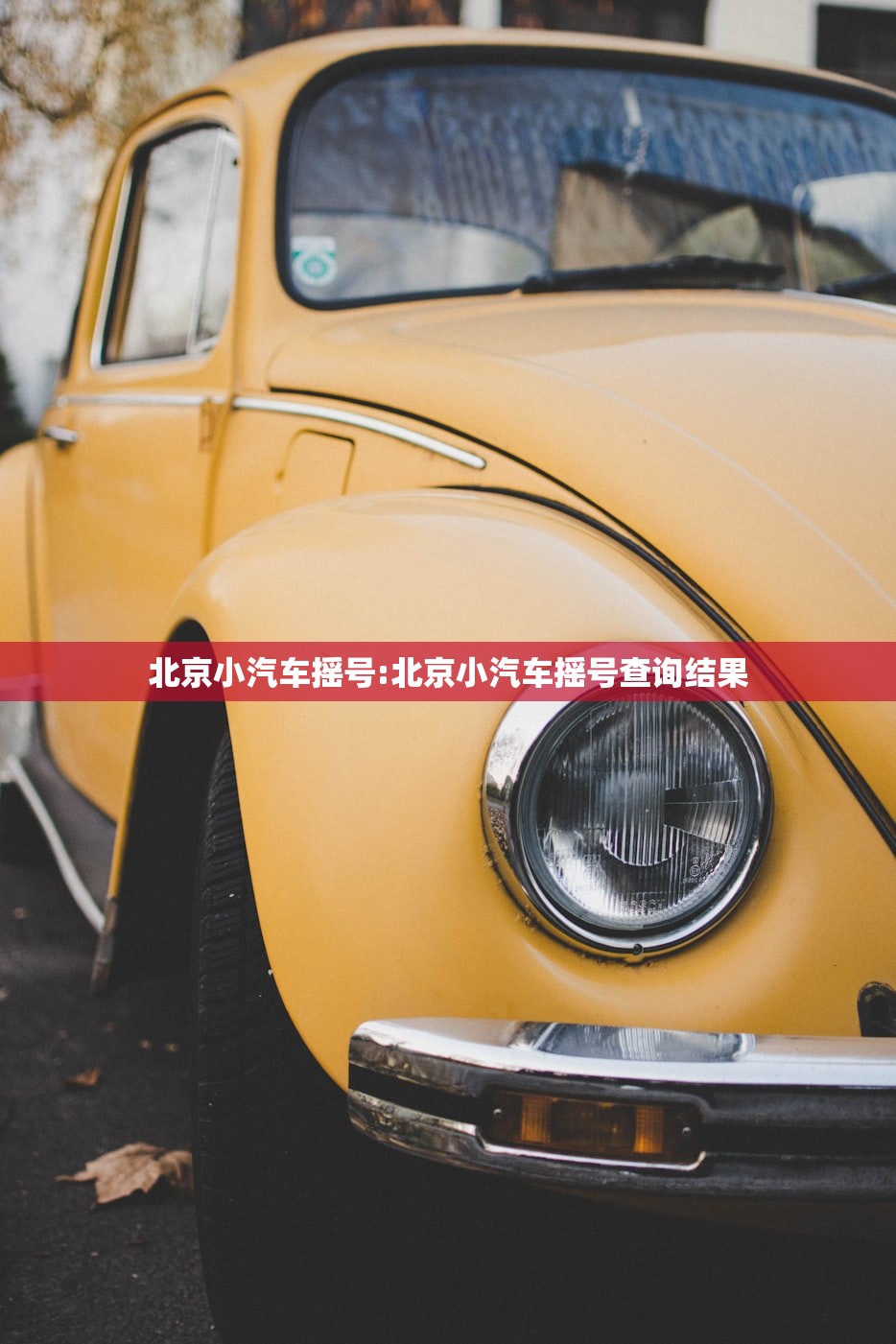 北京小汽车摇号:北京小汽车摇号查询结果 北京小汽车摇号:北京小汽车摇号查询结果