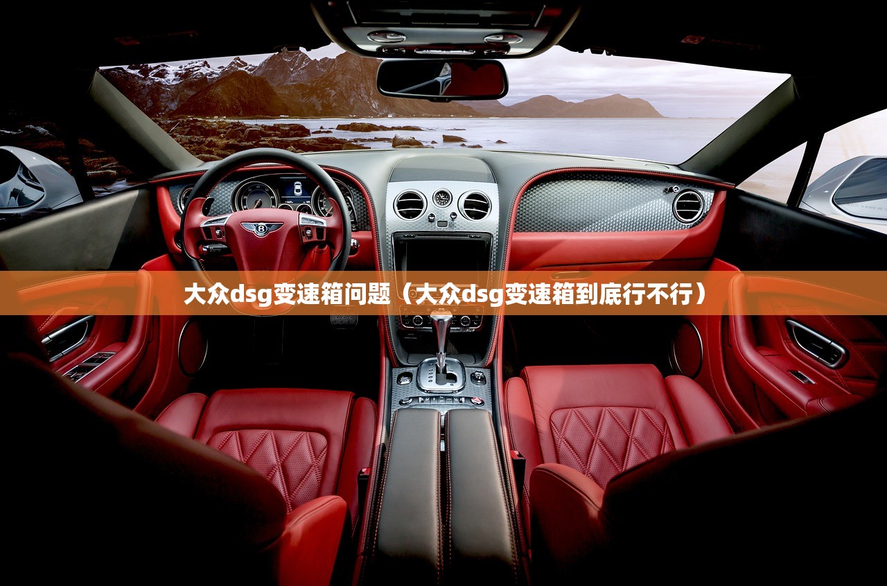 大众dsg变速箱问题（大众dsg变速箱到底行不行）