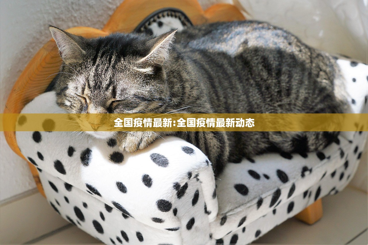 全国疫情最新:全国疫情最新动态