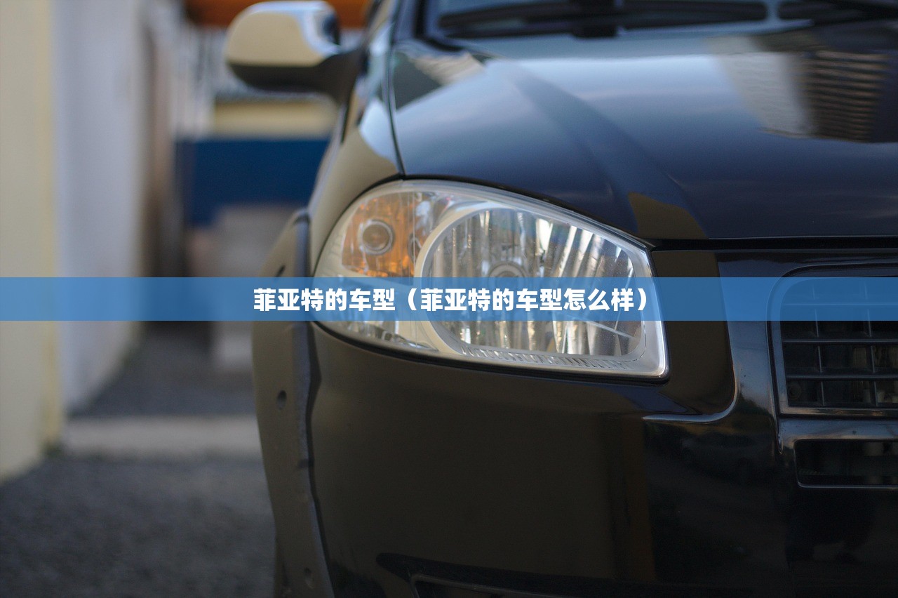 菲亚特的车型（菲亚特的车型怎么样）