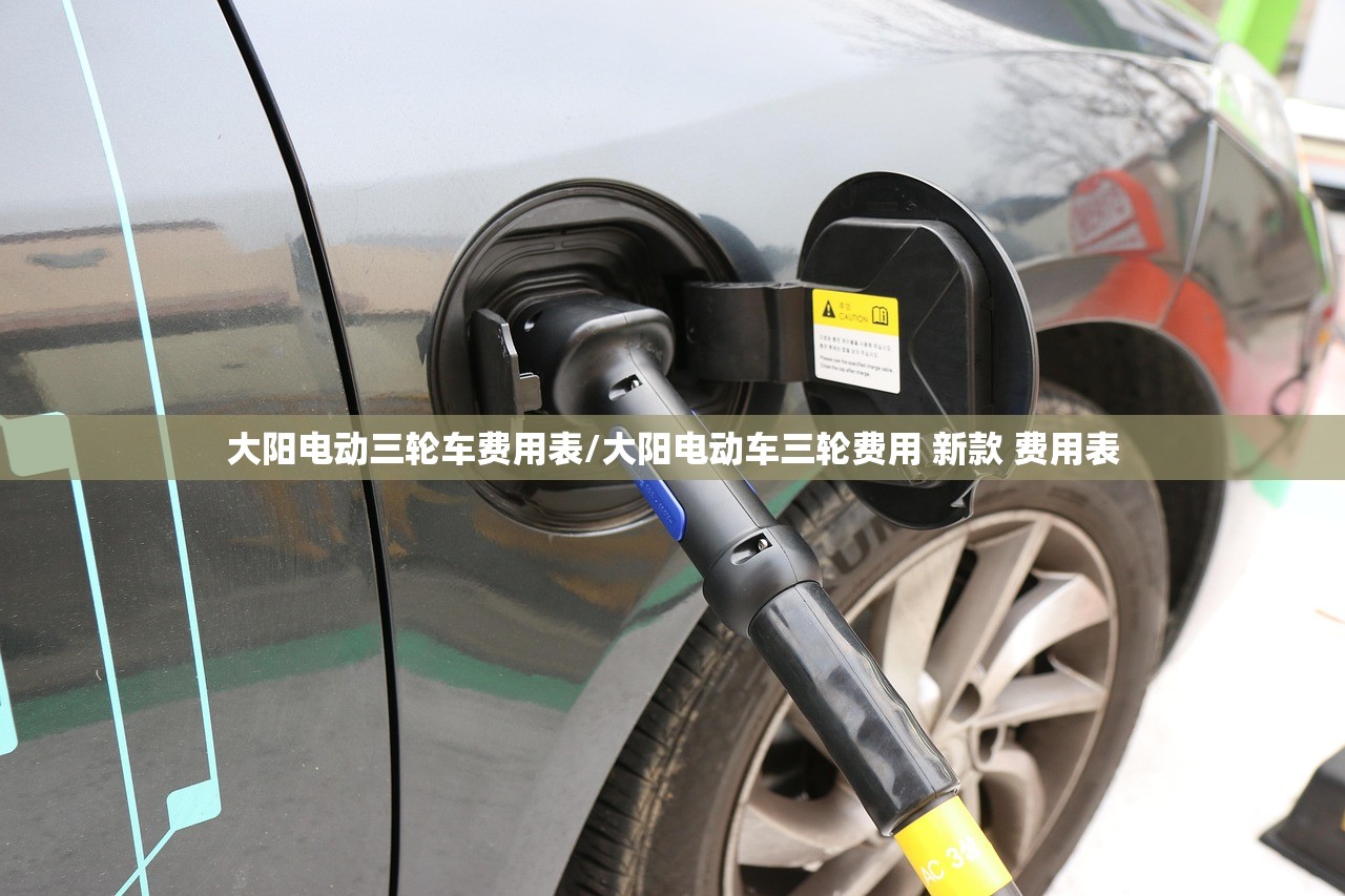 大阳电动三轮车费用表/大阳电动车三轮费用 新款 费用表