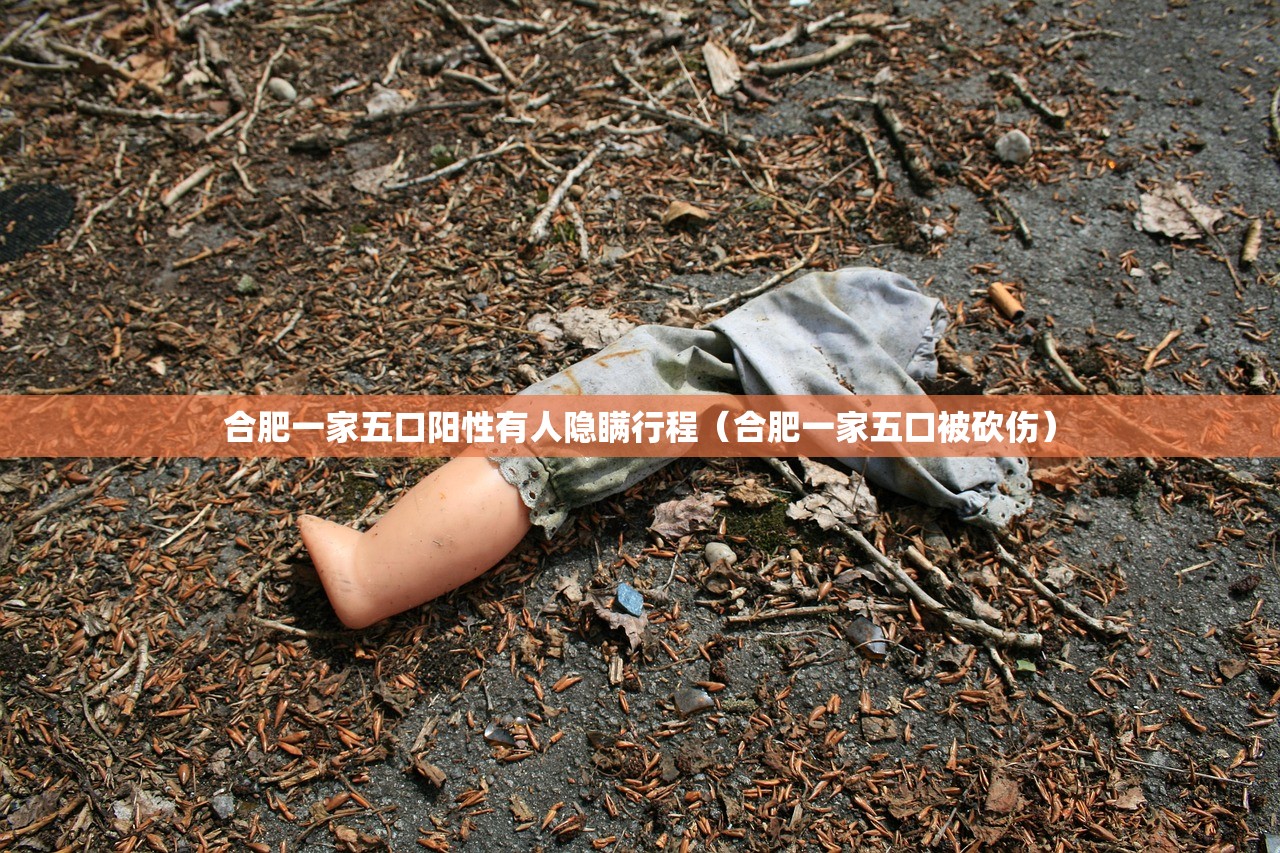 合肥一家五口阳性有人隐瞒行程（合肥一家五口被砍伤）