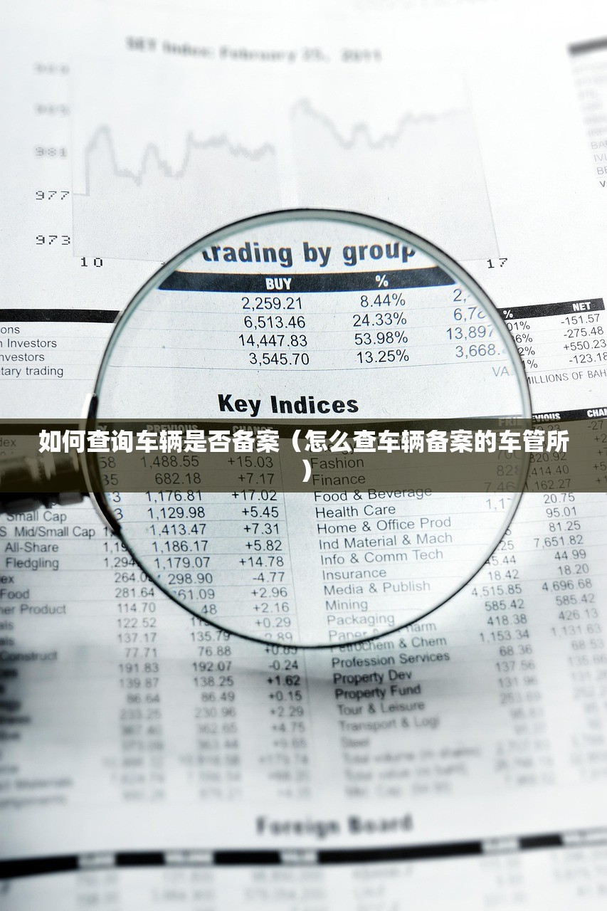 如何查询车辆是否备案（怎么查车辆备案的车管所）