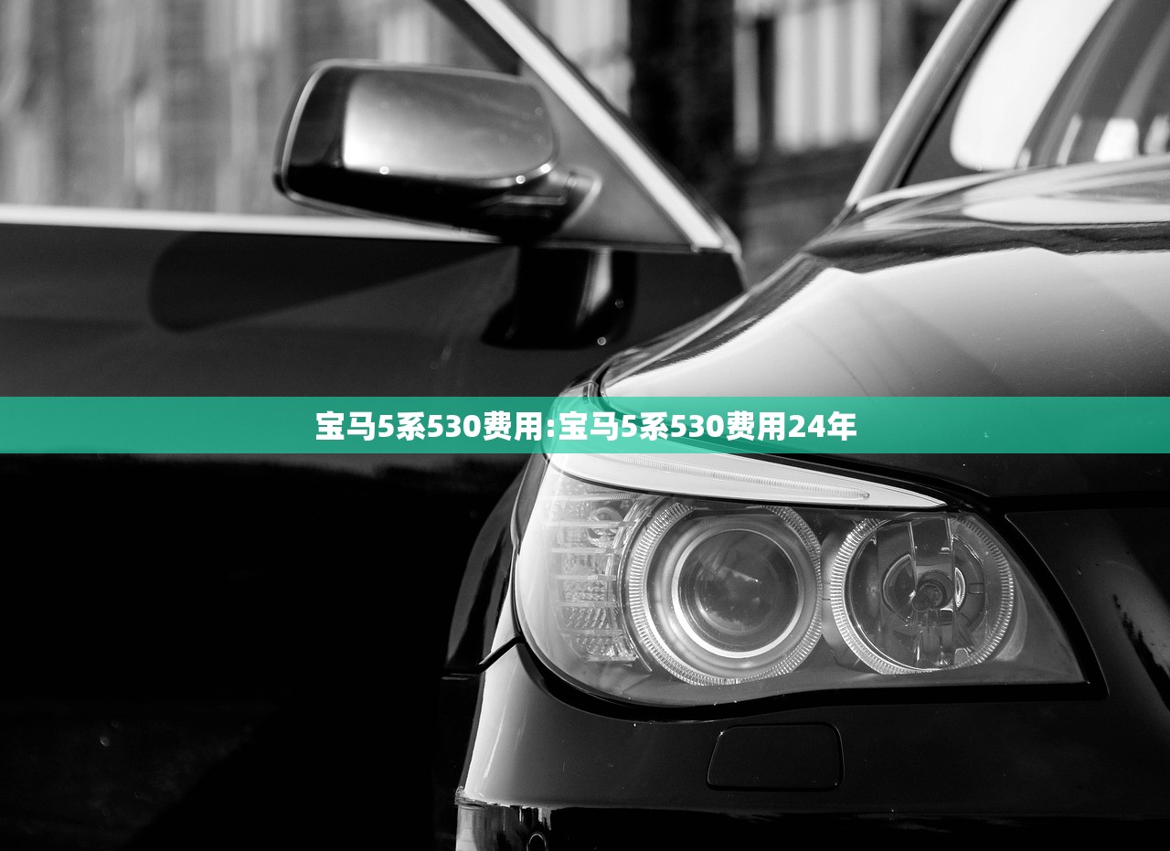 宝马5系530费用:宝马5系530费用24年