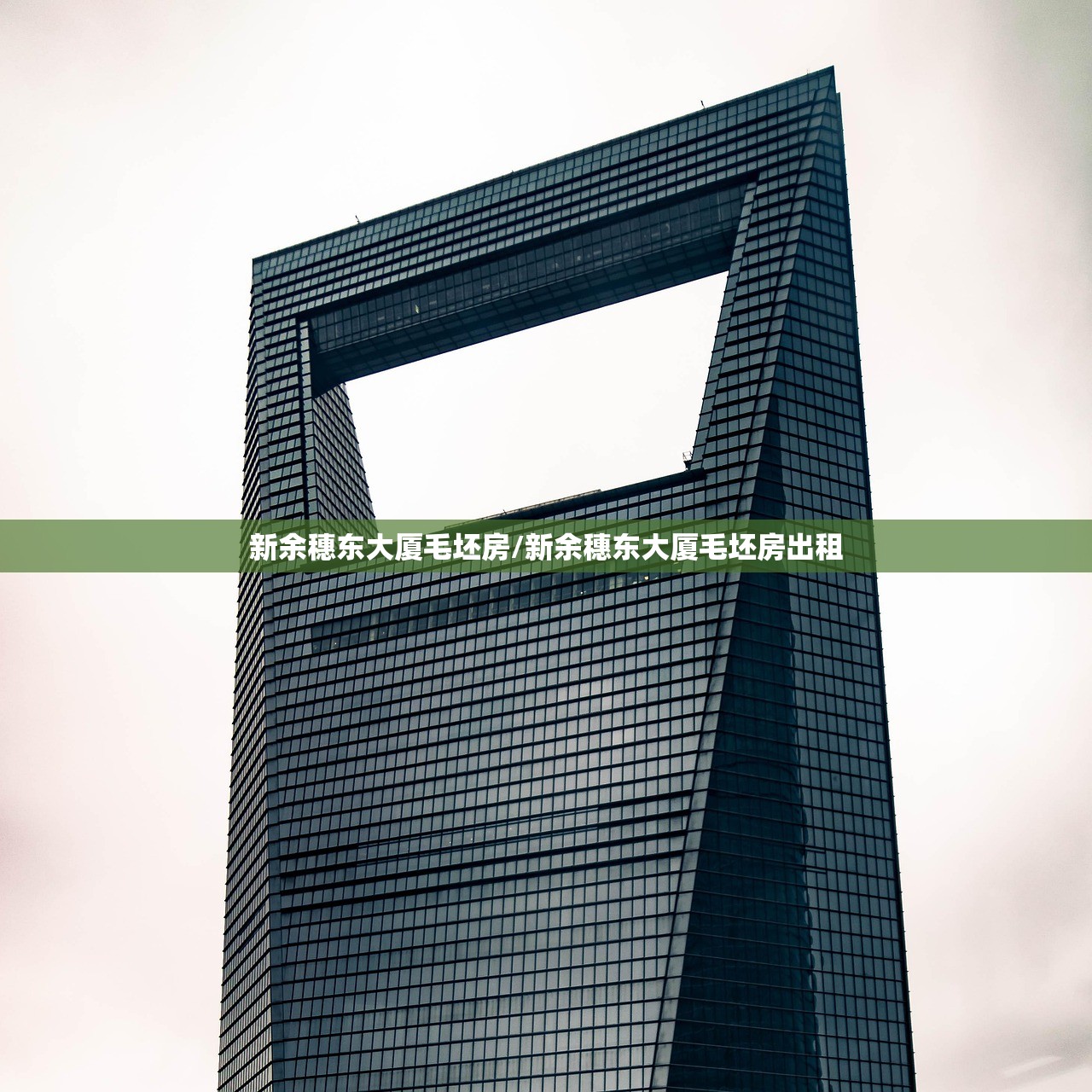 新余穗东大厦毛坯房/新余穗东大厦毛坯房出租
