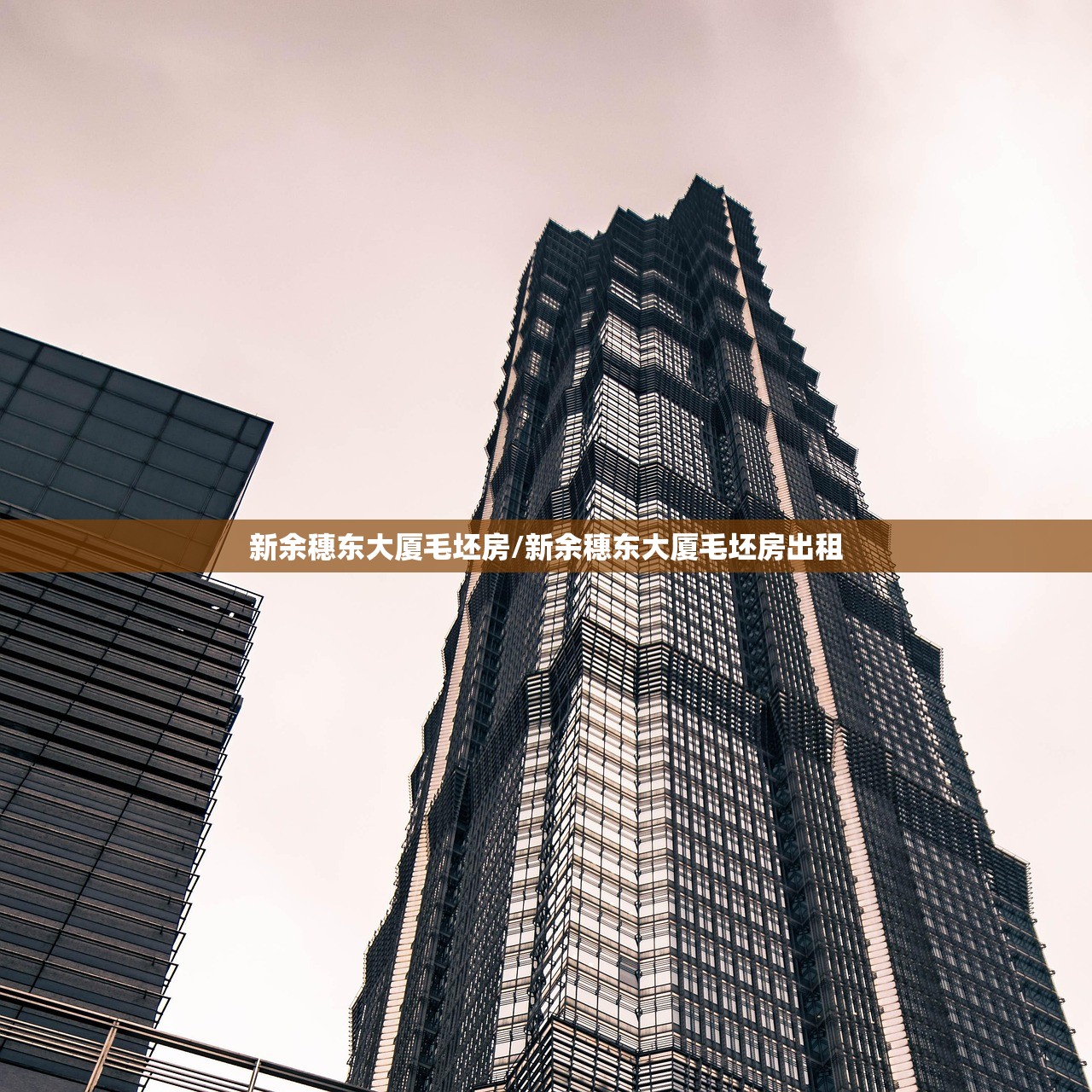 新余穗东大厦毛坯房/新余穗东大厦毛坯房出租