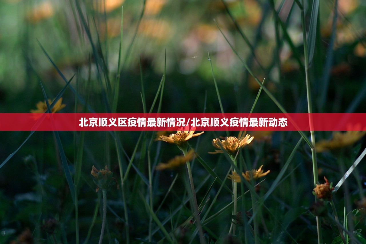 北京顺义区疫情最新情况/北京顺义疫情最新动态