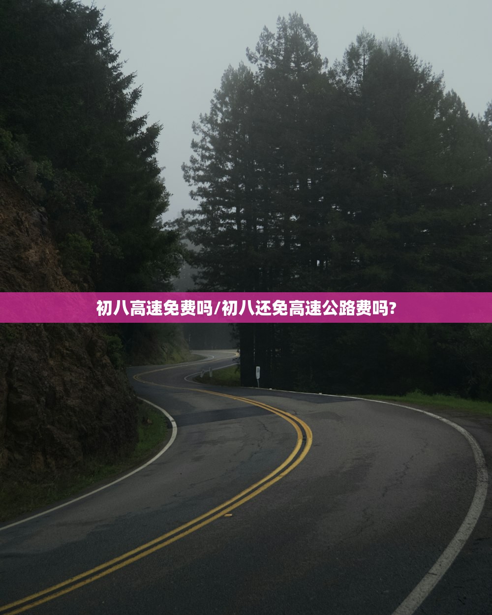 初八高速免费吗/初八还免高速公路费吗?