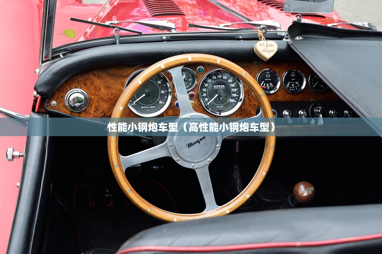 性能小钢炮车型（高性能小钢炮车型）