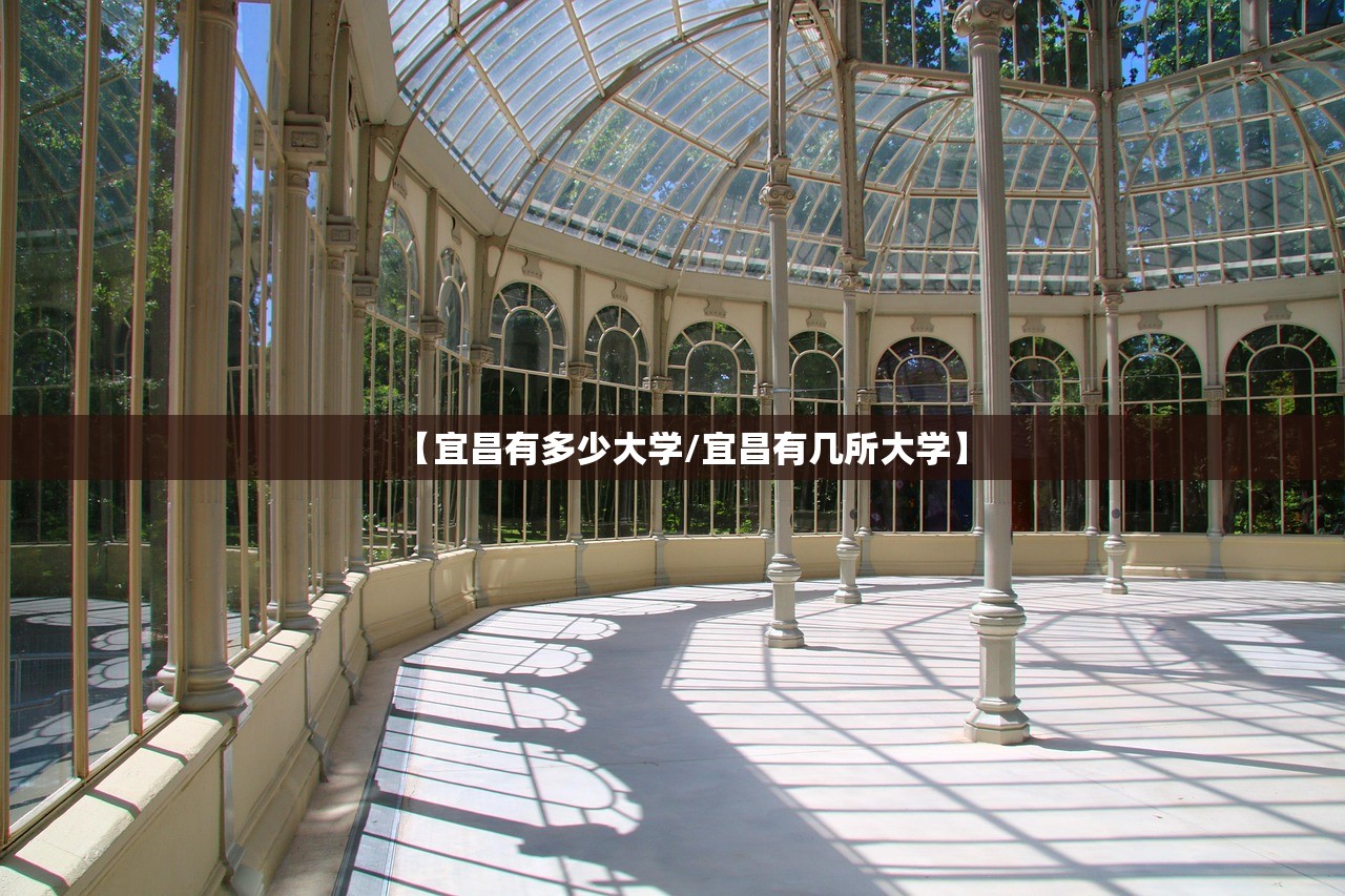 【宜昌有多少大学/宜昌有几所大学】