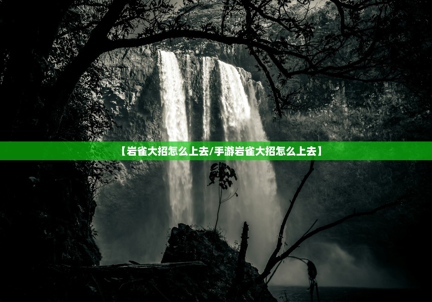 【岩雀大招怎么上去/手游岩雀大招怎么上去】