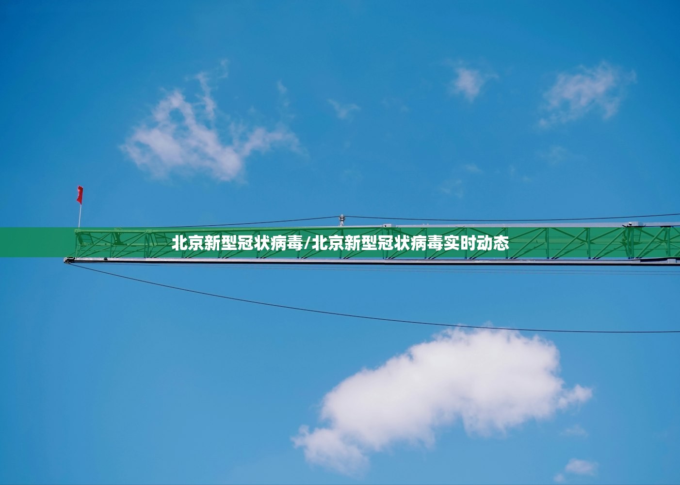 北京新型冠状病毒/北京新型冠状病毒实时动态