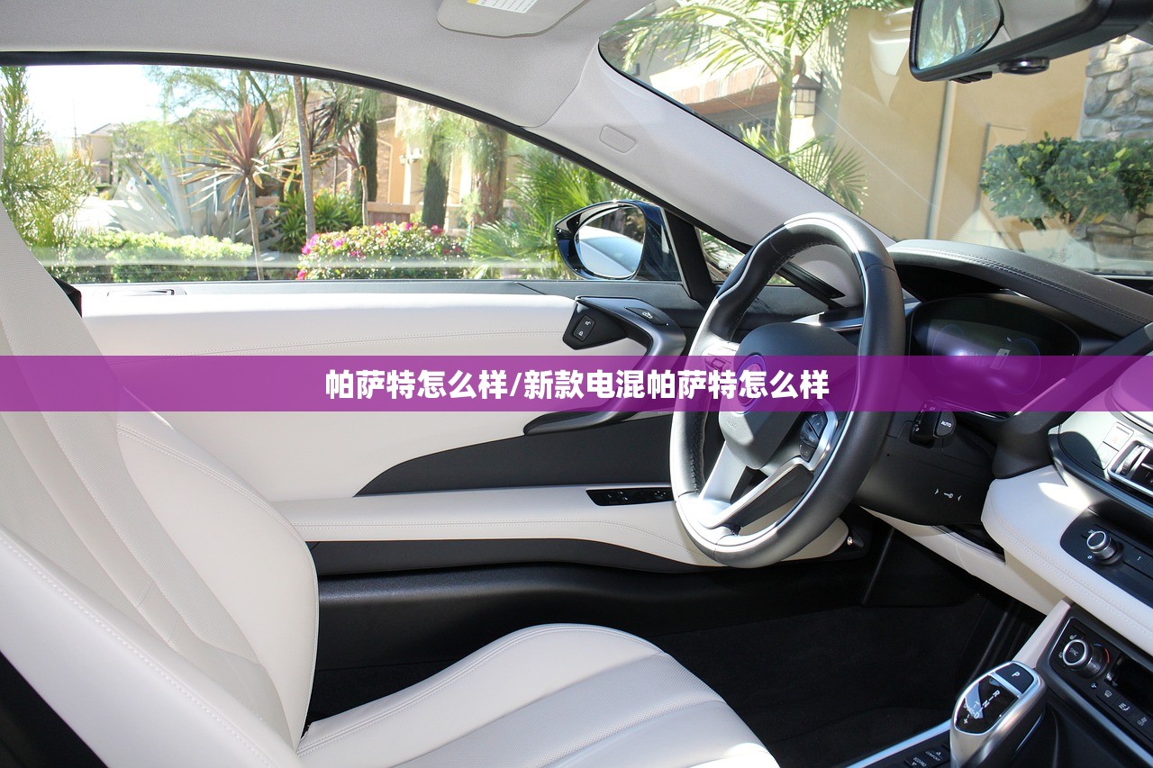 帕萨特怎么样/新款电混帕萨特怎么样