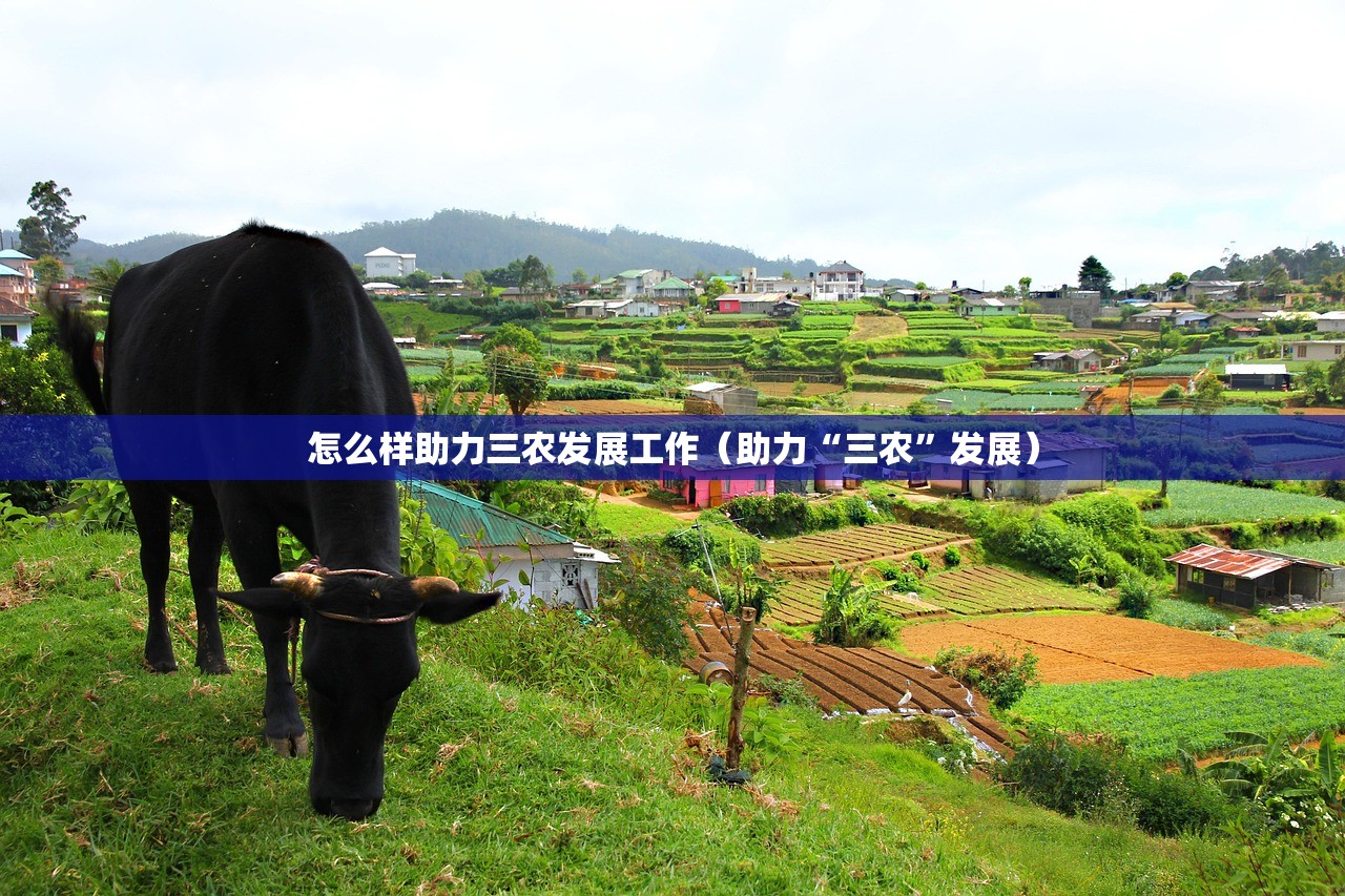 怎么样助力三农发展工作（助力“三农	”发展）