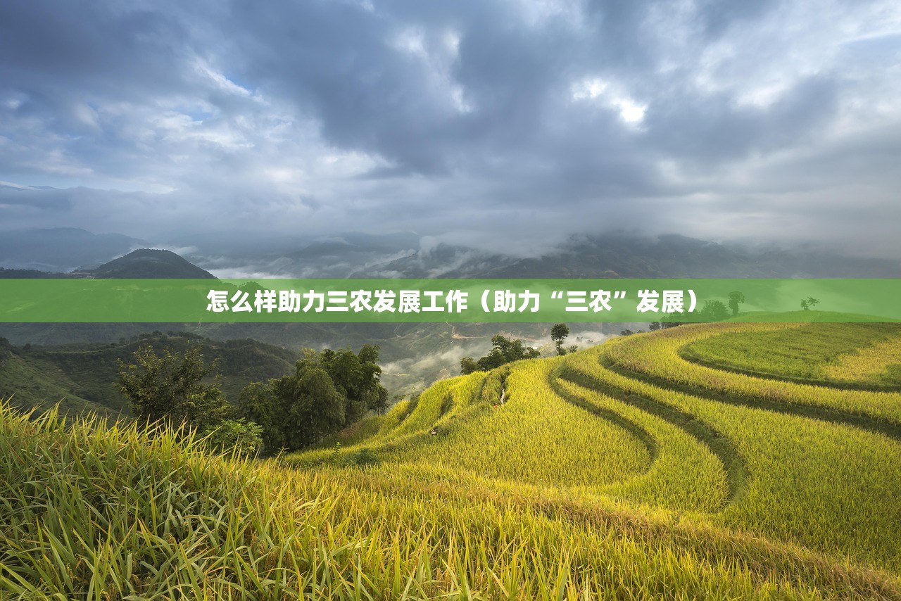 怎么样助力三农发展工作（助力“三农”发展）