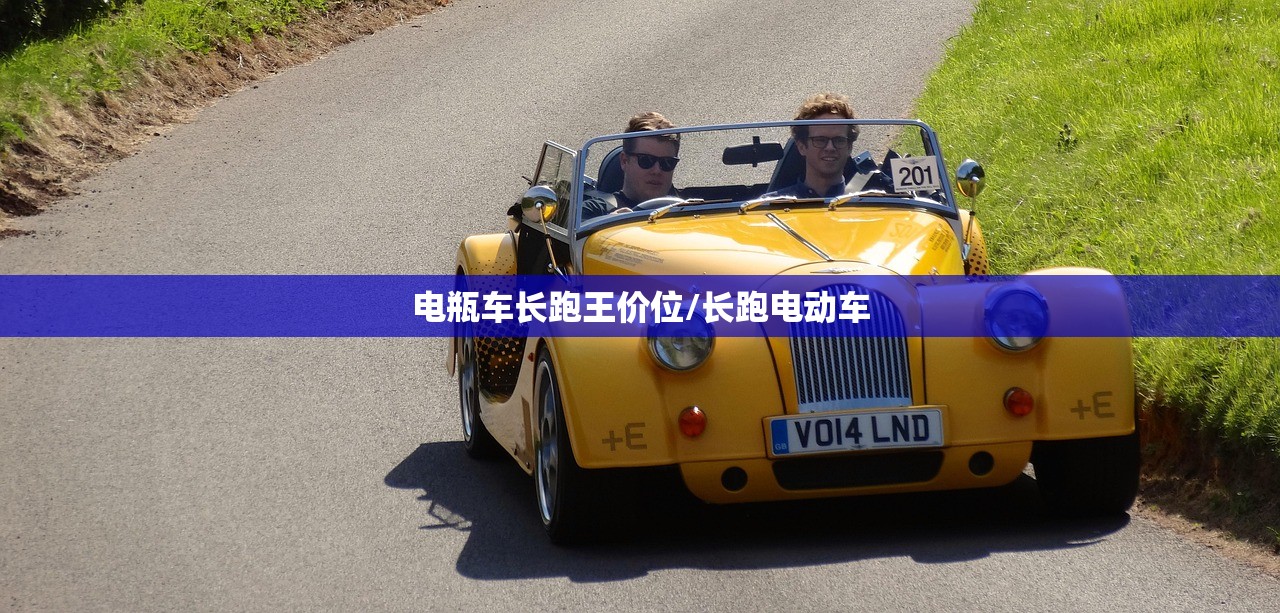 电瓶车长跑王价位/长跑电动车 电瓶车长跑王价位/长跑电动车