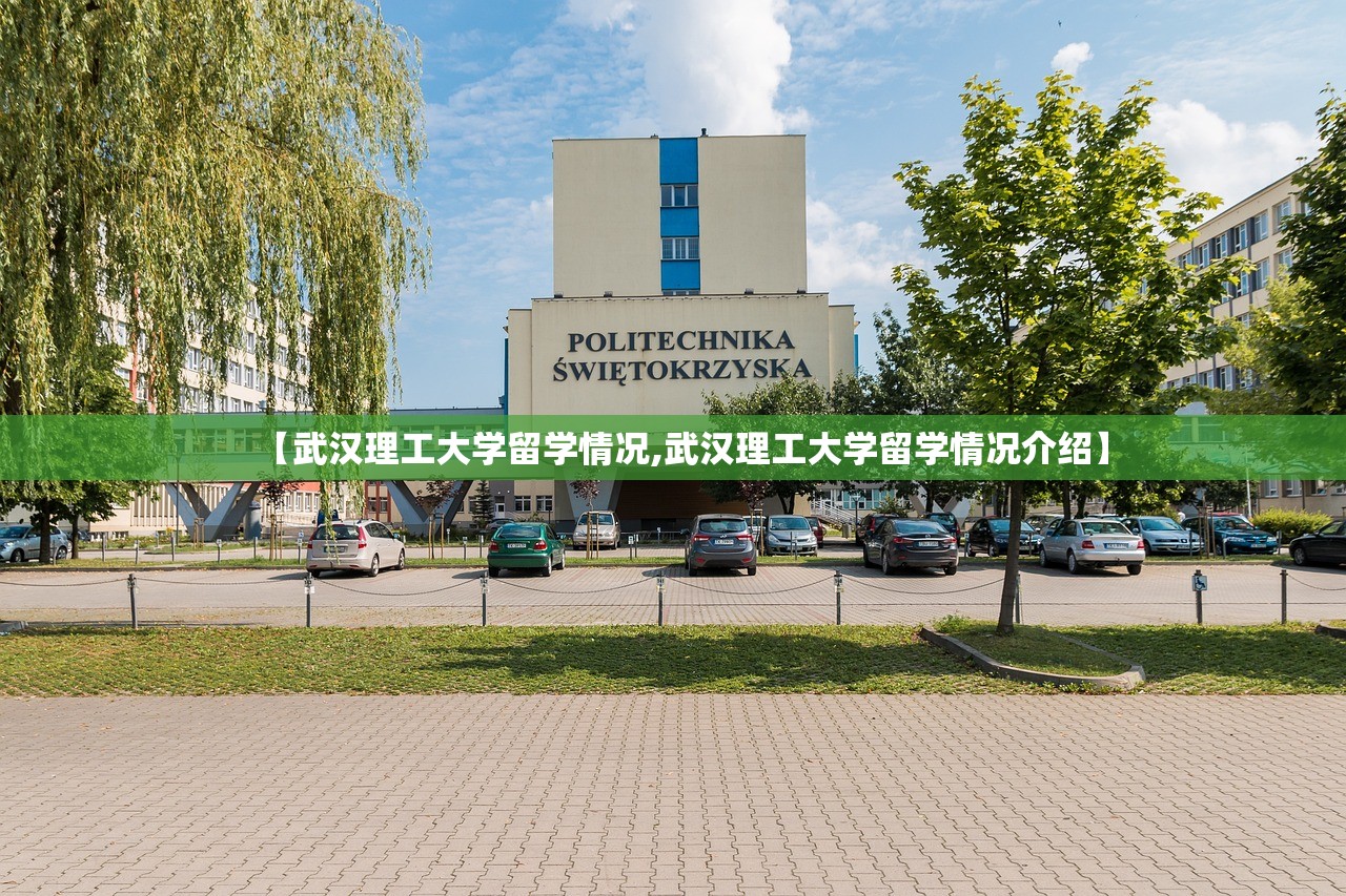 【武汉理工大学留学情况,武汉理工大学留学情况介绍】