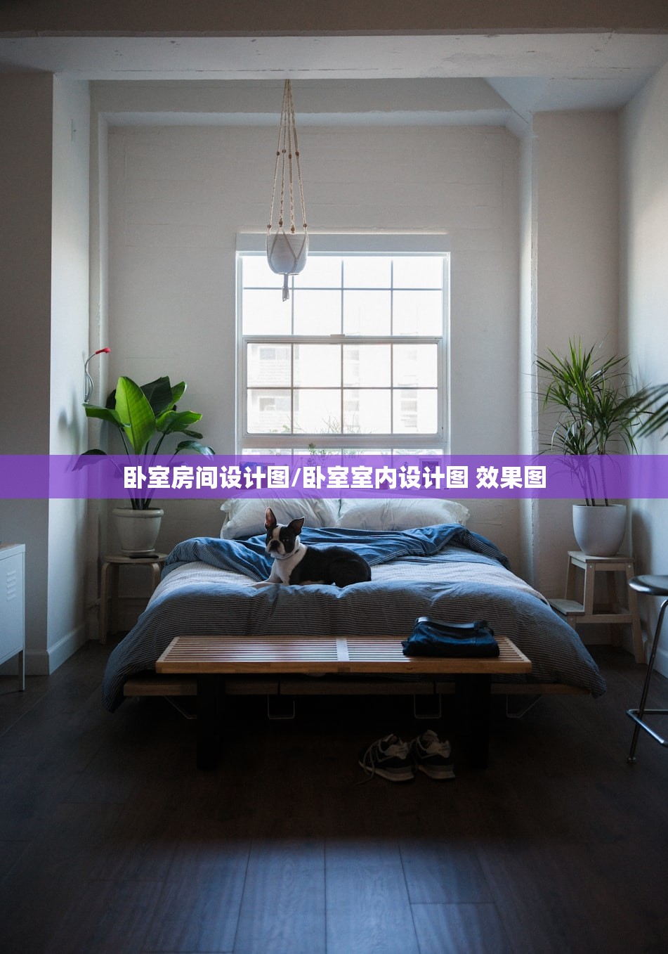卧室房间设计图/卧室室内设计图 效果图