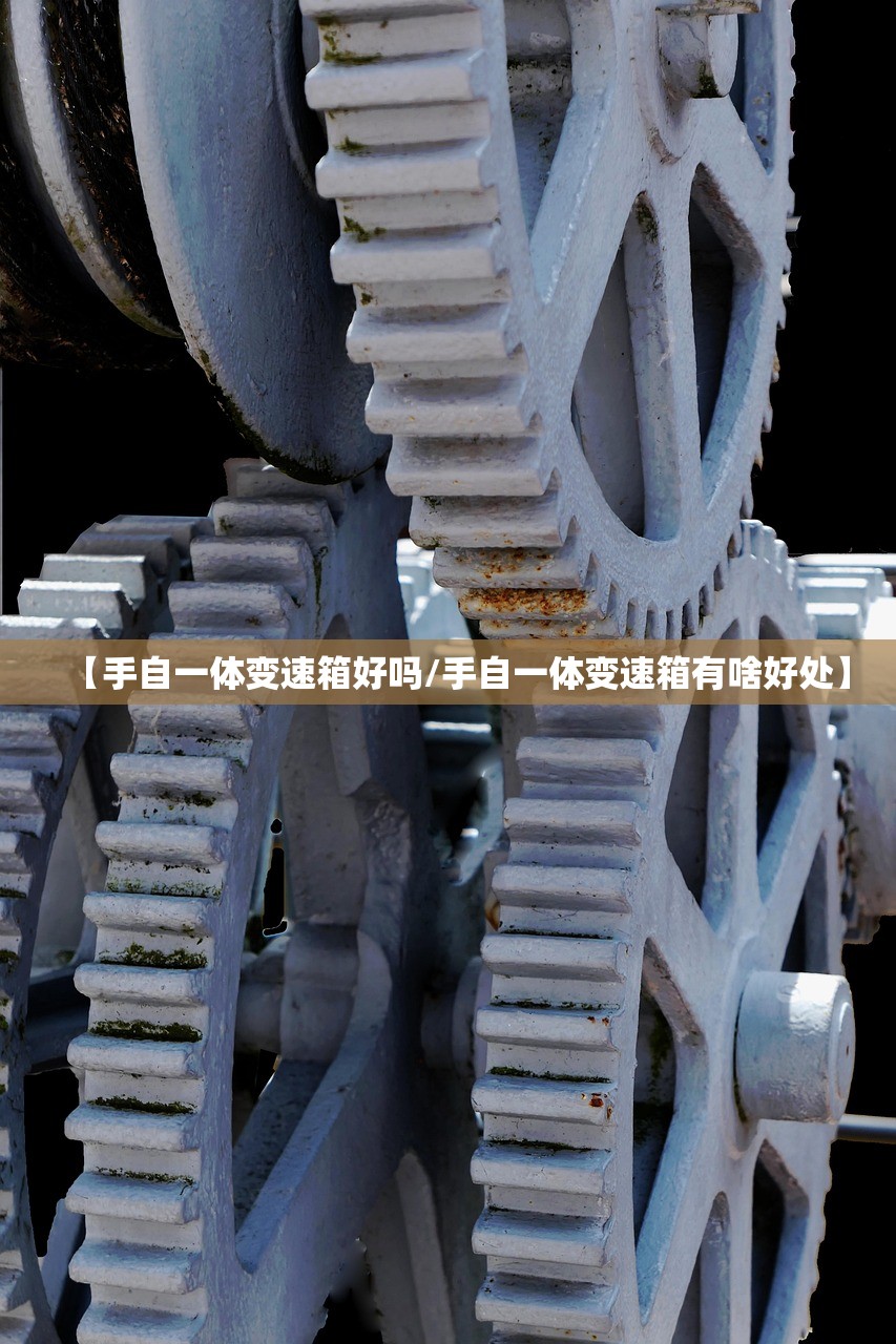 【手自一体变速箱好吗/手自一体变速箱有啥好处】