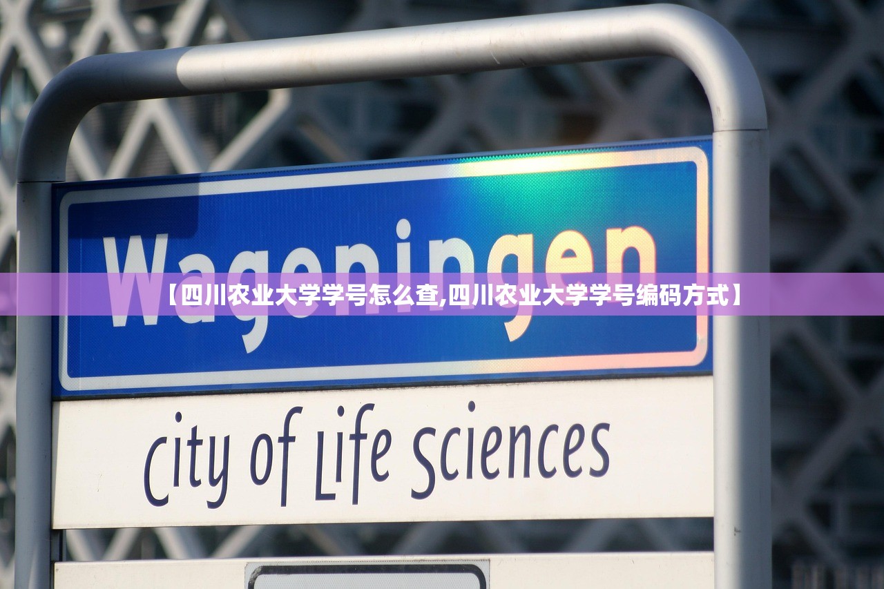 【四川农业大学学号怎么查,四川农业大学学号编码方式】