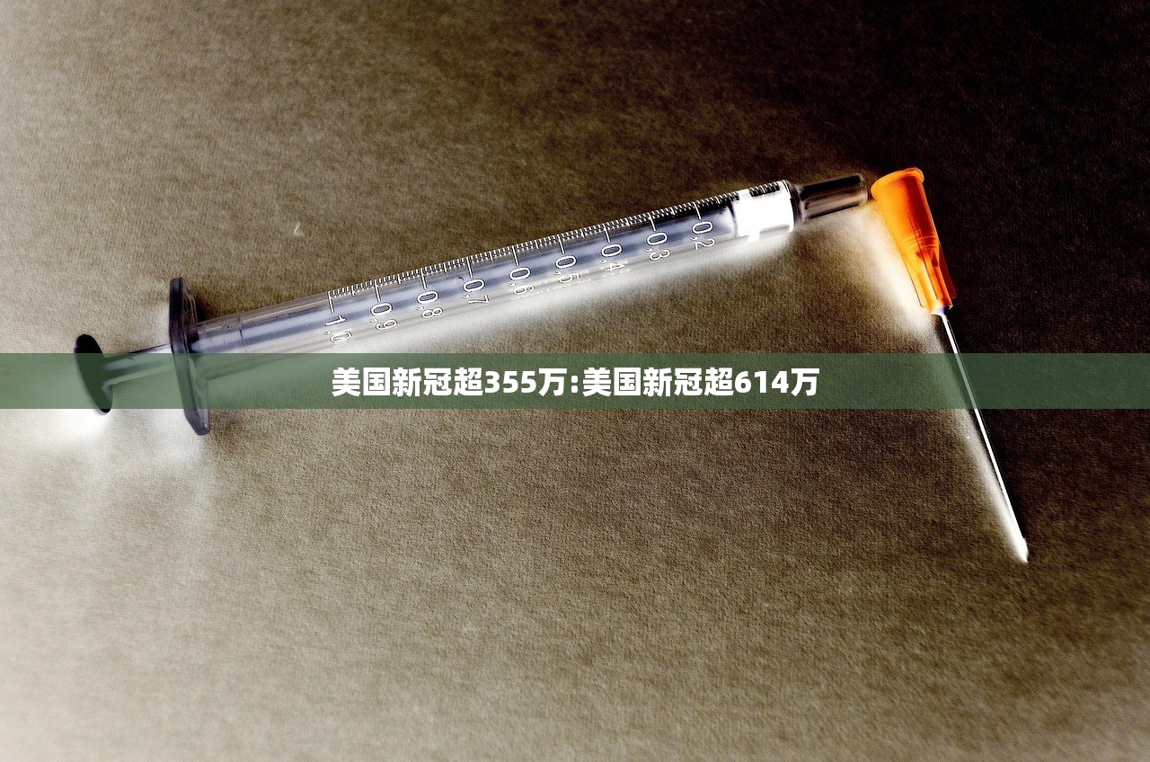 美国新冠超355万:美国新冠超614万