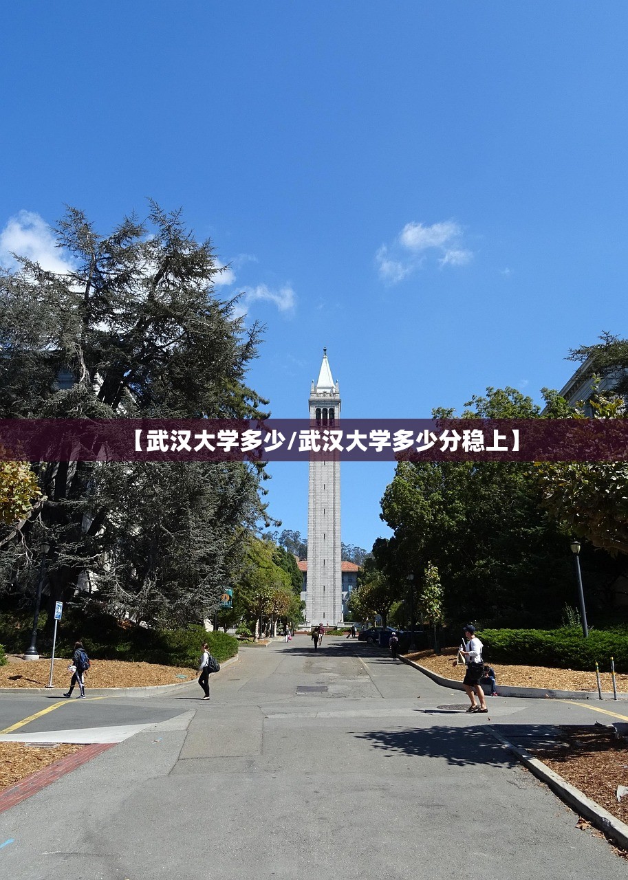 【武汉大学多少/武汉大学多少分稳上】
