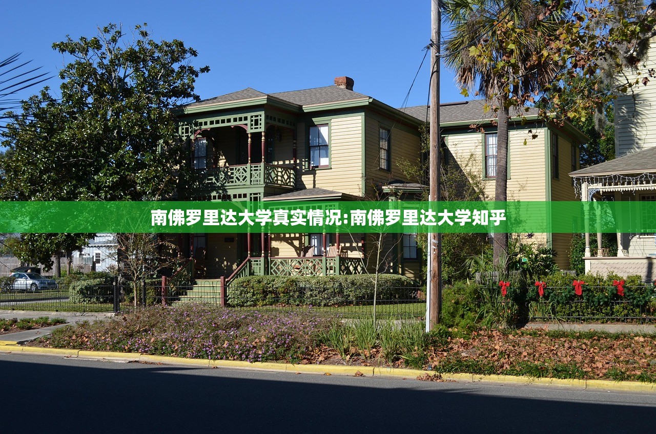 南佛罗里达大学真实情况:南佛罗里达大学知乎