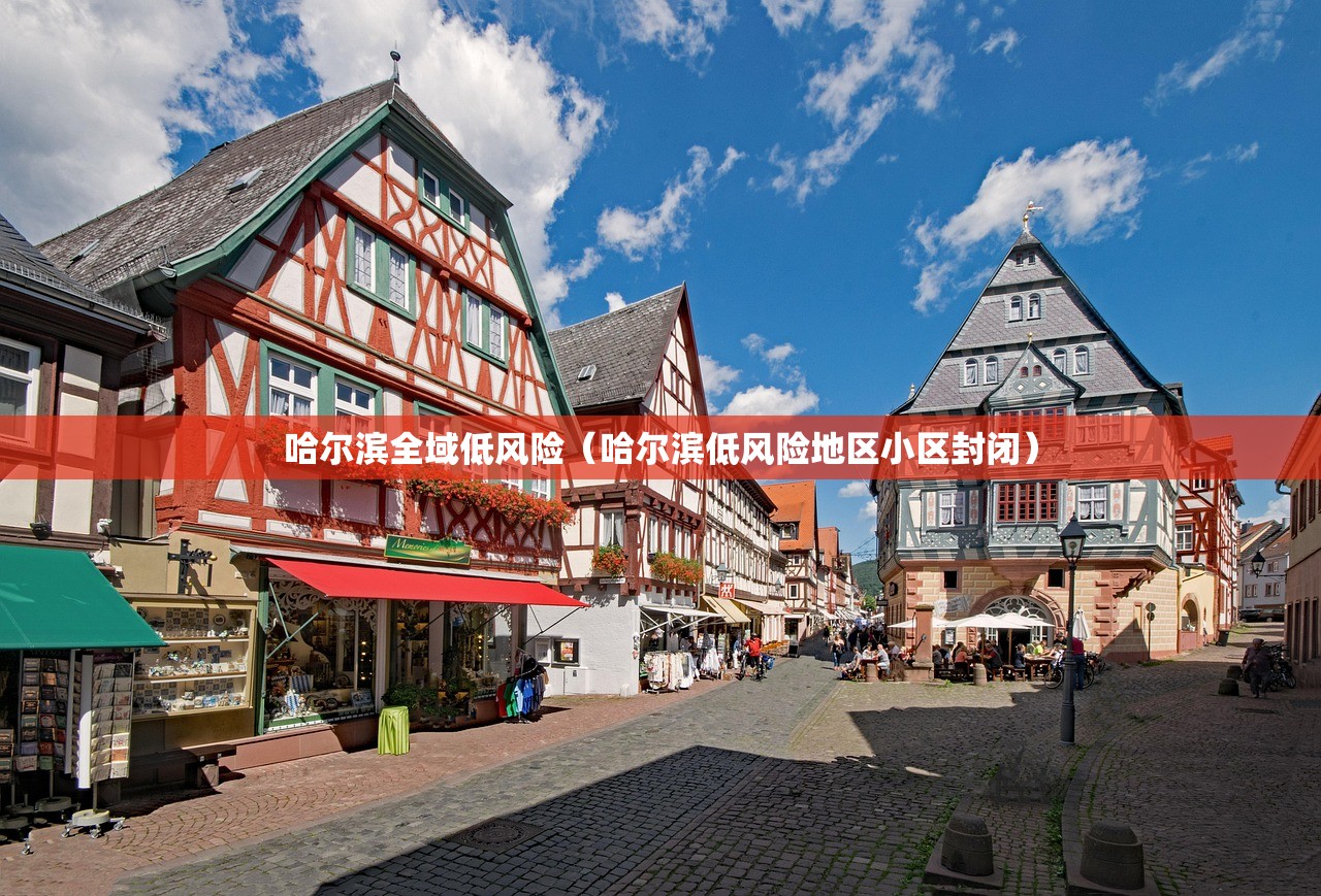 哈尔滨全域低风险（哈尔滨低风险地区小区封闭）