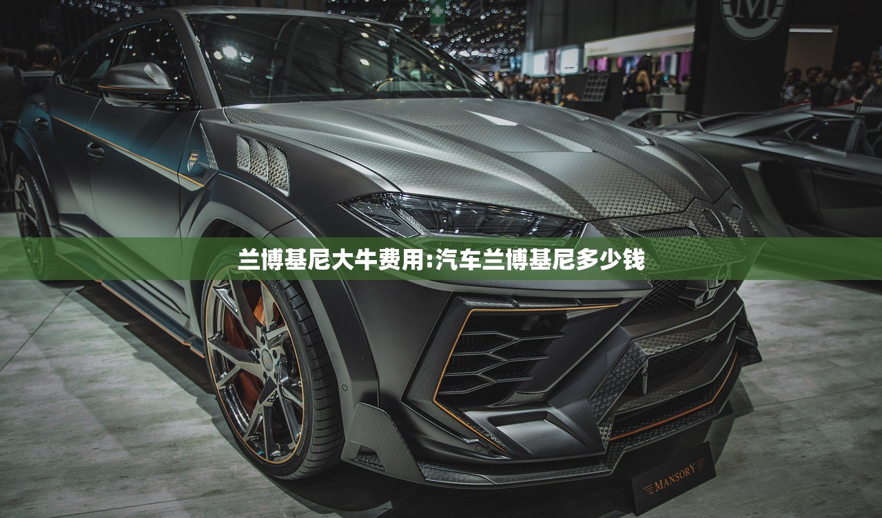 兰博基尼大牛费用:汽车兰博基尼多少钱