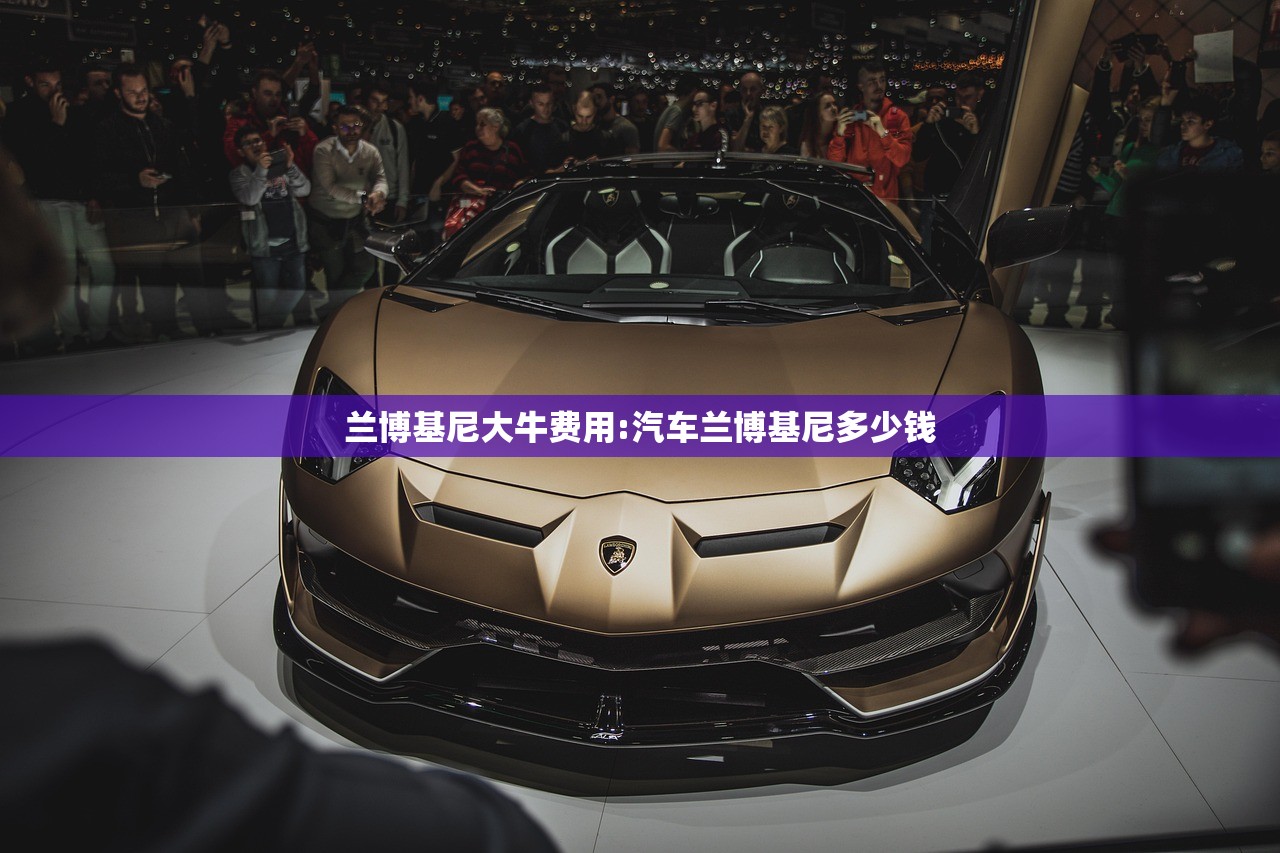 兰博基尼大牛费用:汽车兰博基尼多少钱