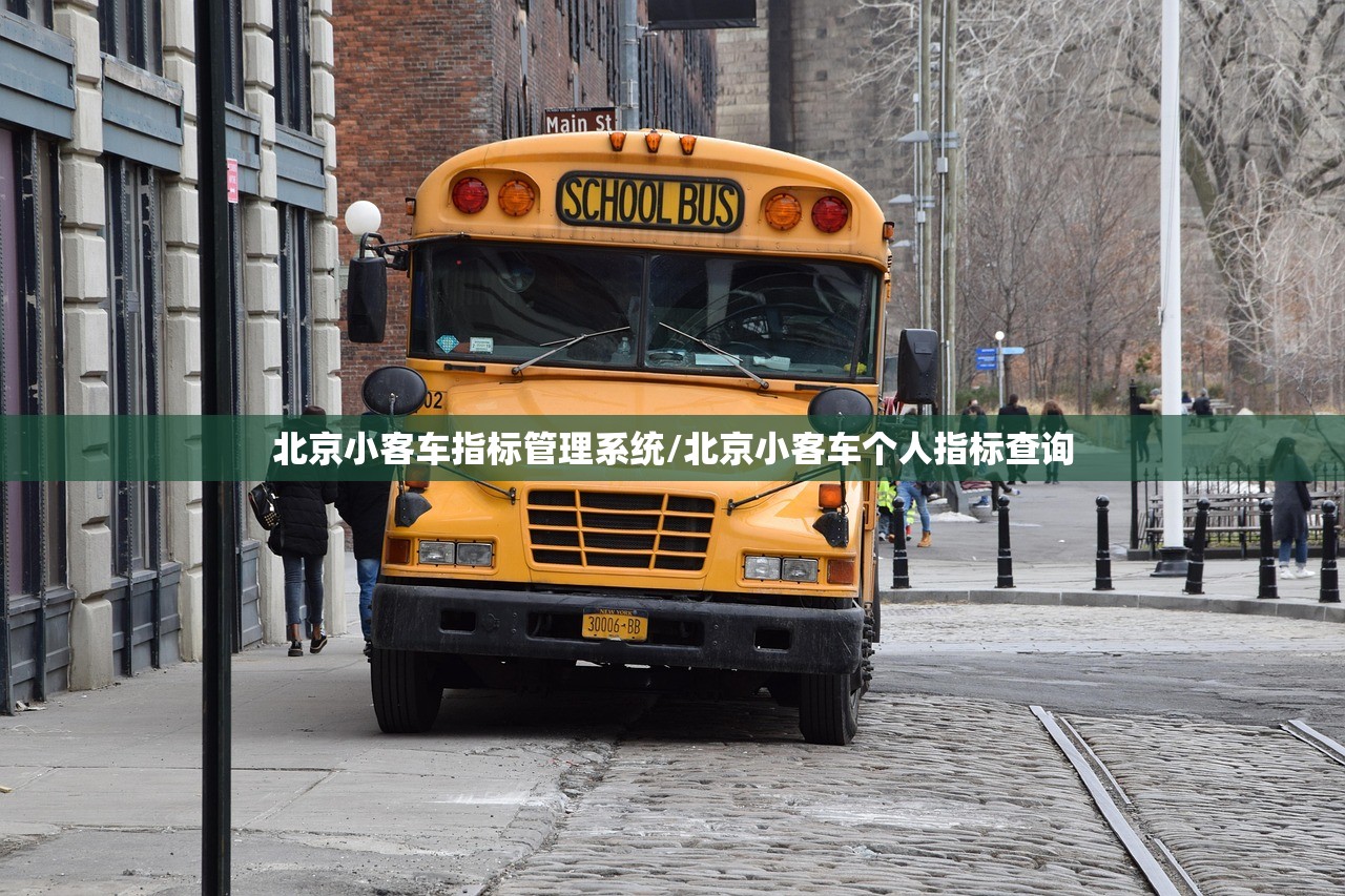 北京小客车指标管理系统/北京小客车个人指标查询