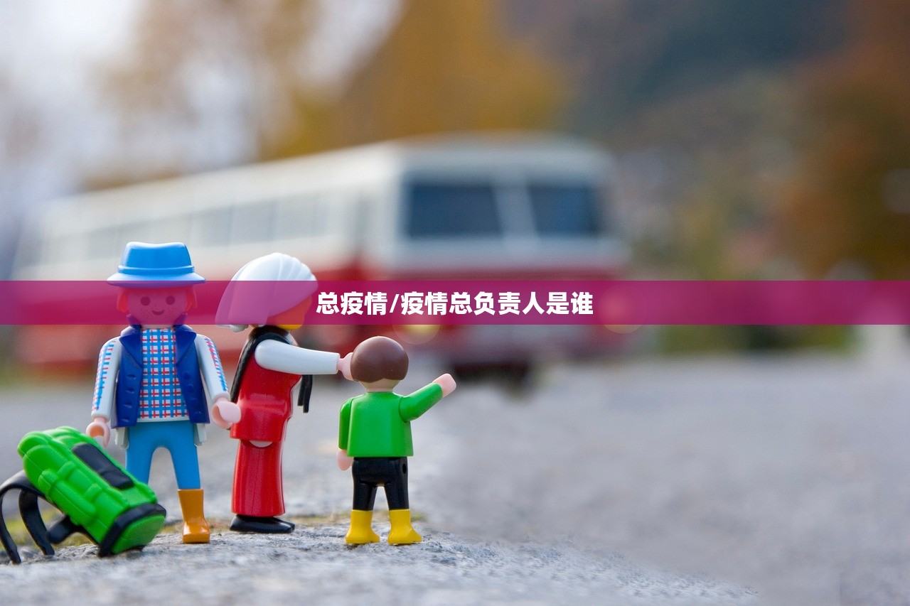 总疫情/疫情总负责人是谁