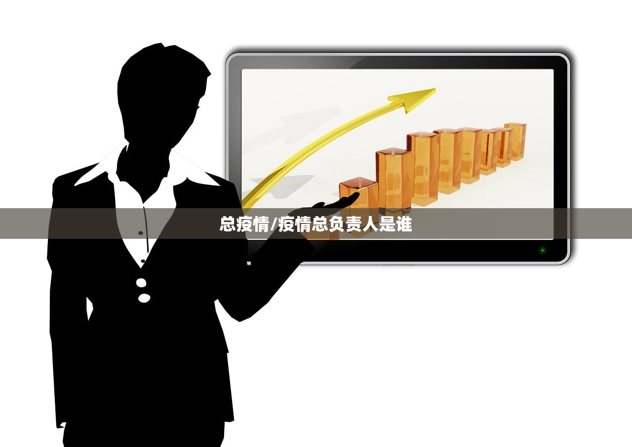 总疫情/疫情总负责人是谁