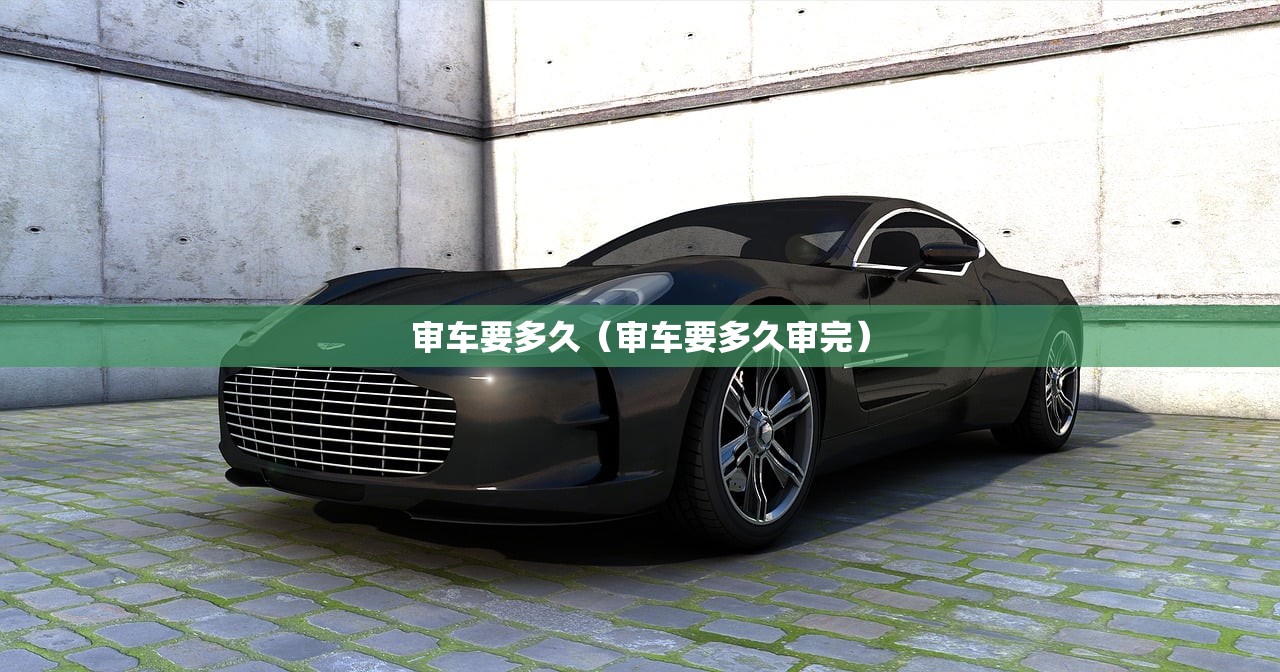 审车要多久（审车要多久审完）