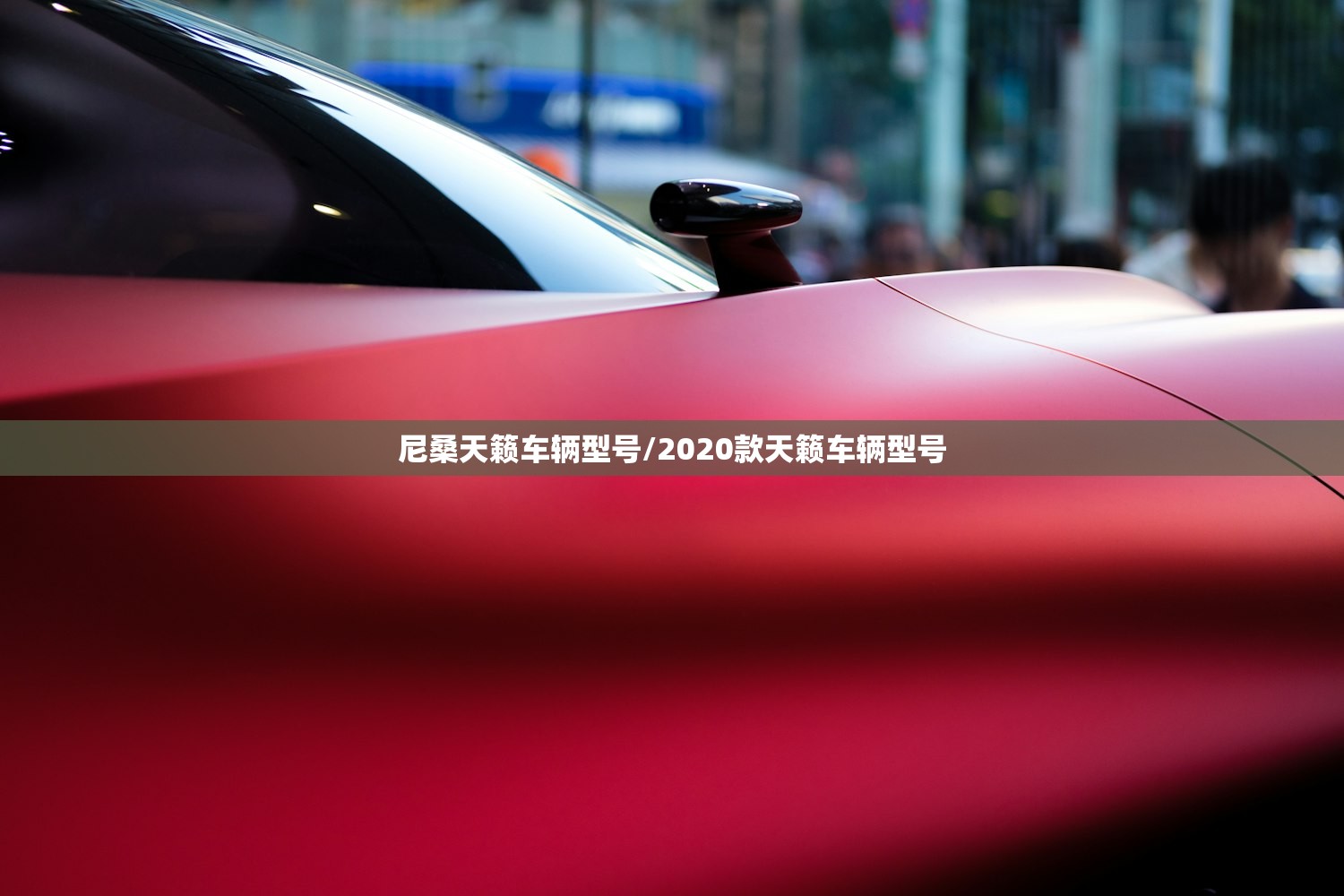 尼桑天籁车辆型号/2020款天籁车辆型号