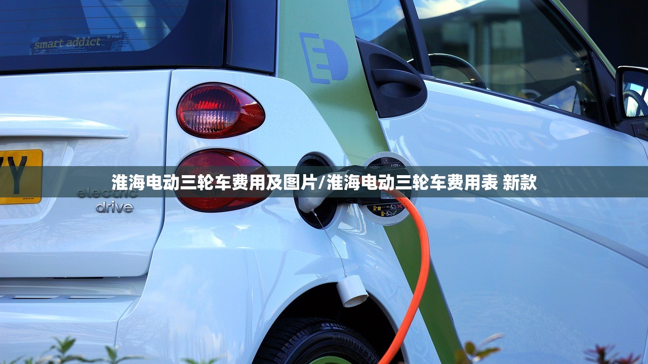 淮海电动三轮车费用及图片/淮海电动三轮车费用表 新款 淮海电动三轮车费用及图片/淮海电动三轮车费用表 新款
