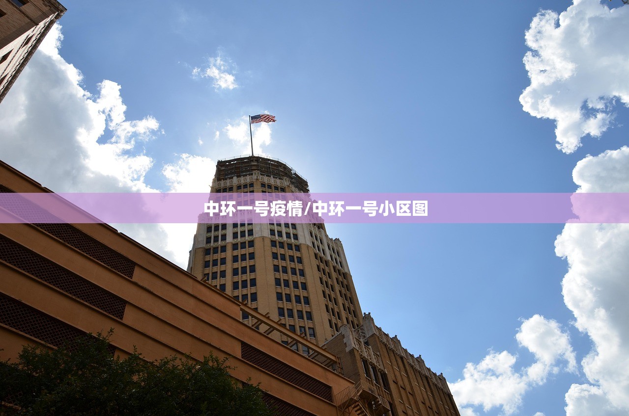 中环一号疫情/中环一号小区图