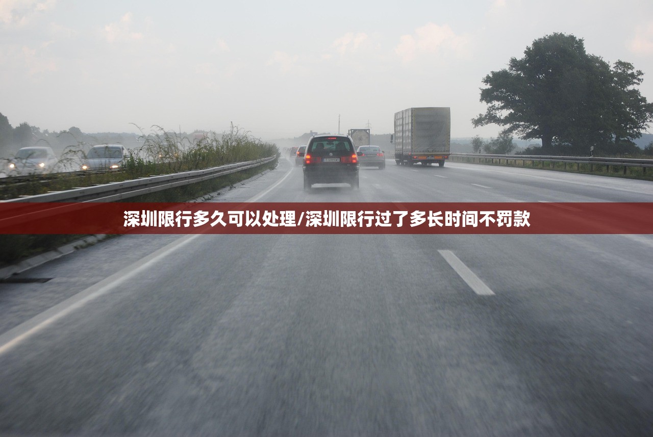 深圳限行多久可以处理/深圳限行过了多长时间不罚款