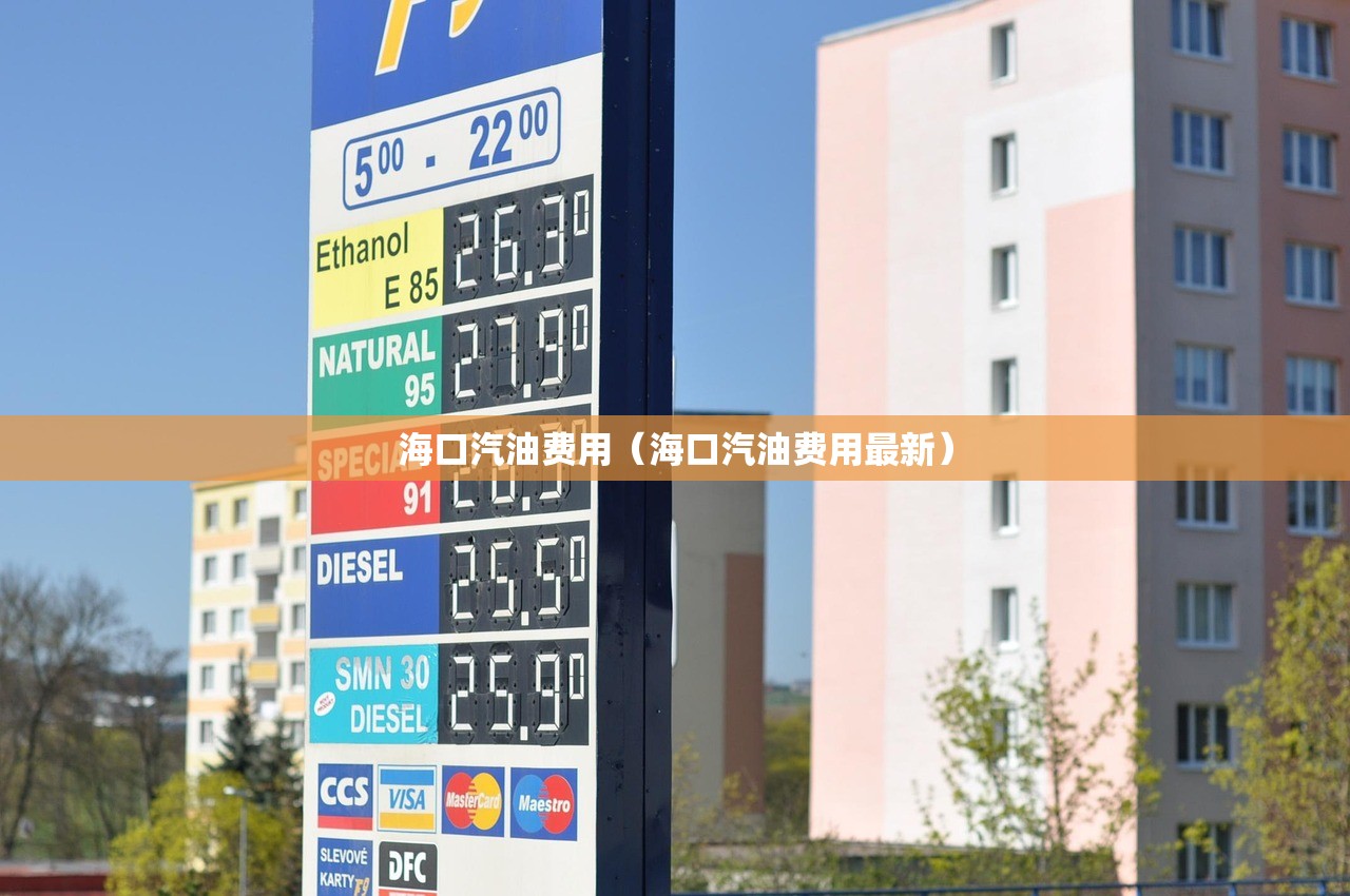 海口汽油费用（海口汽油费用最新）