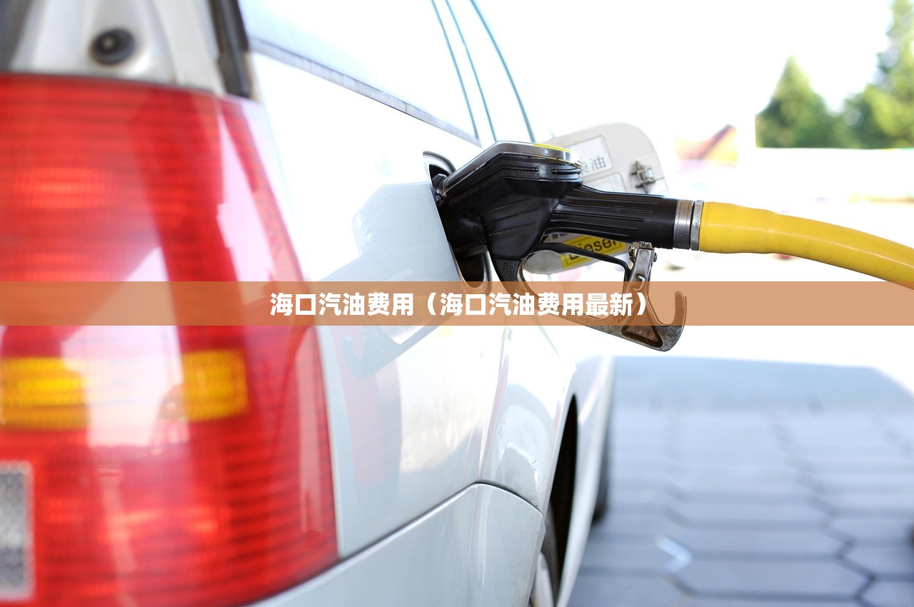 海口汽油费用（海口汽油费用最新）