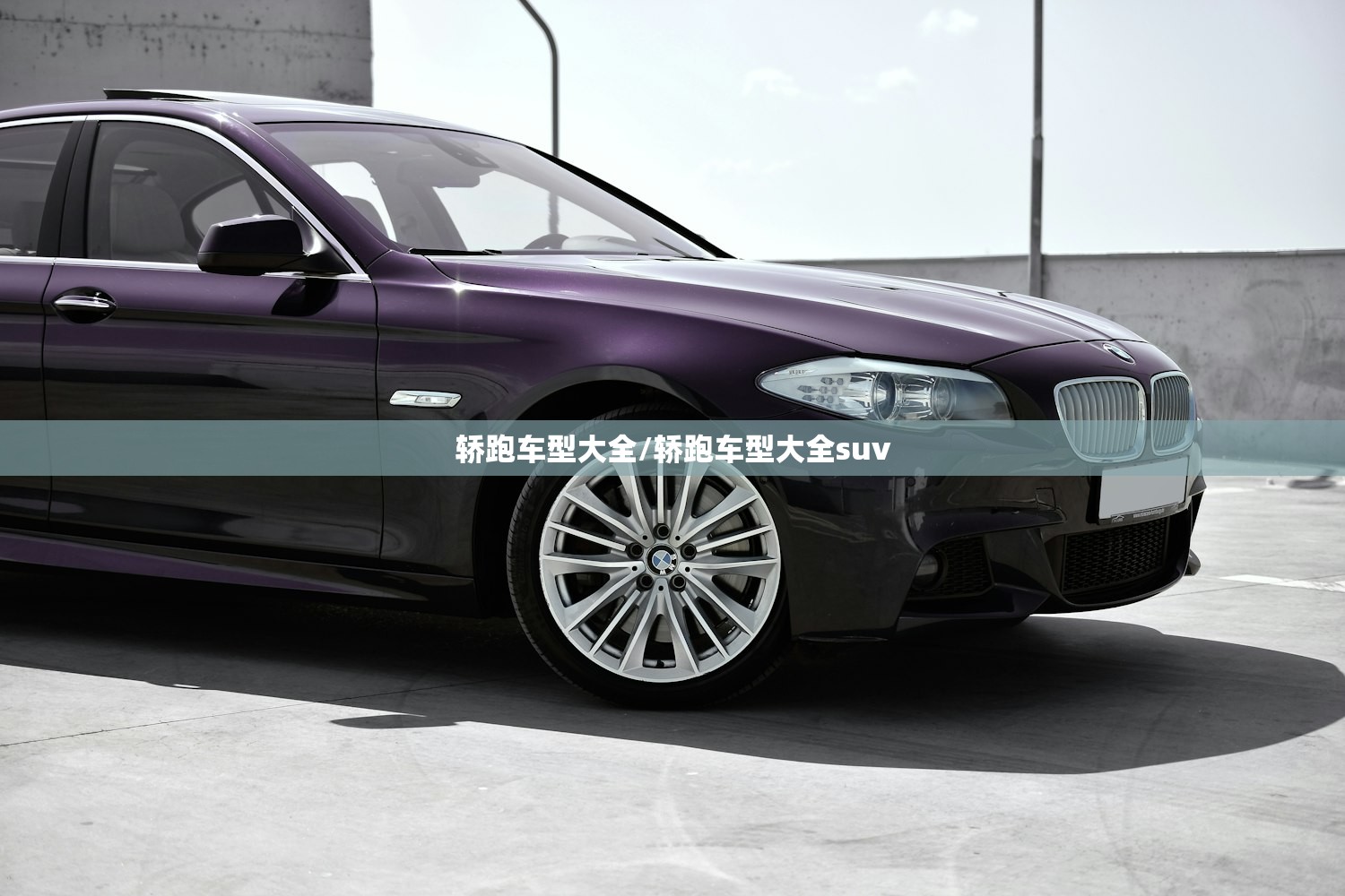 轿跑车型大全/轿跑车型大全suv