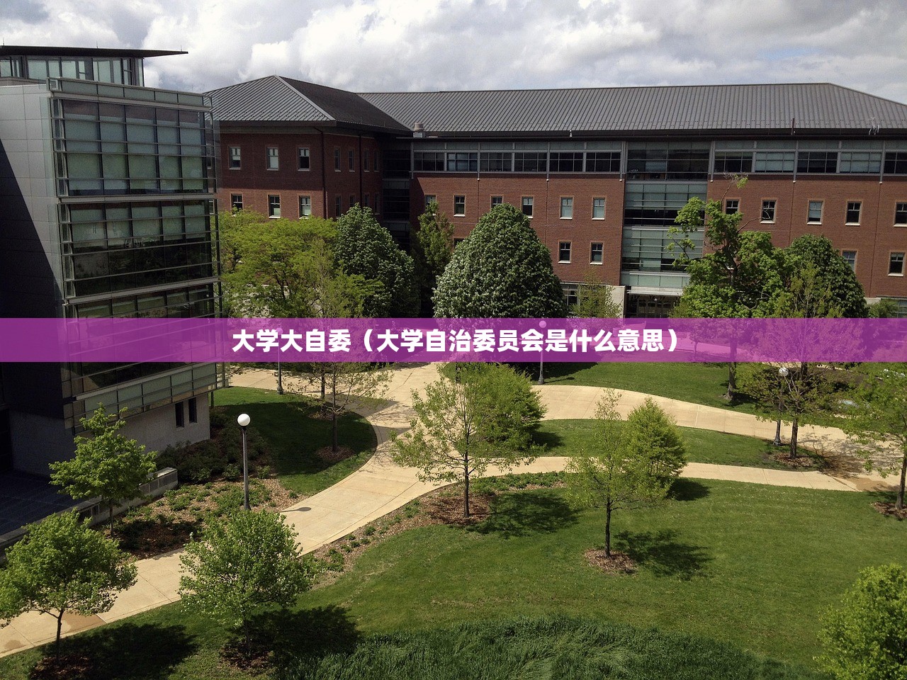 大学大自委（大学自治委员会是什么意思）