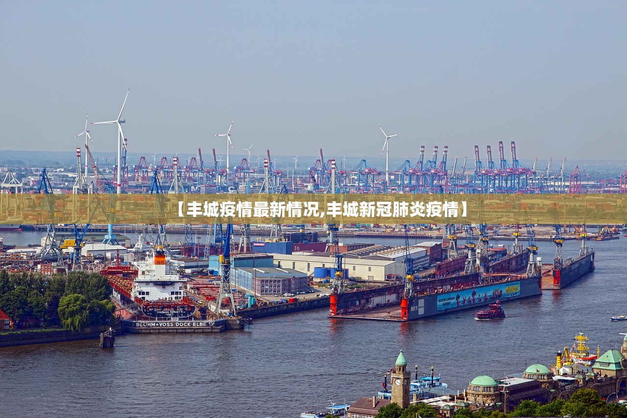 【丰城疫情最新情况,丰城新冠肺炎疫情】