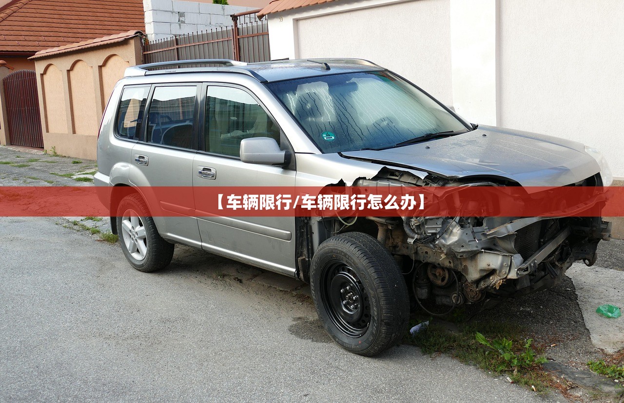 【车辆限行/车辆限行怎么办】