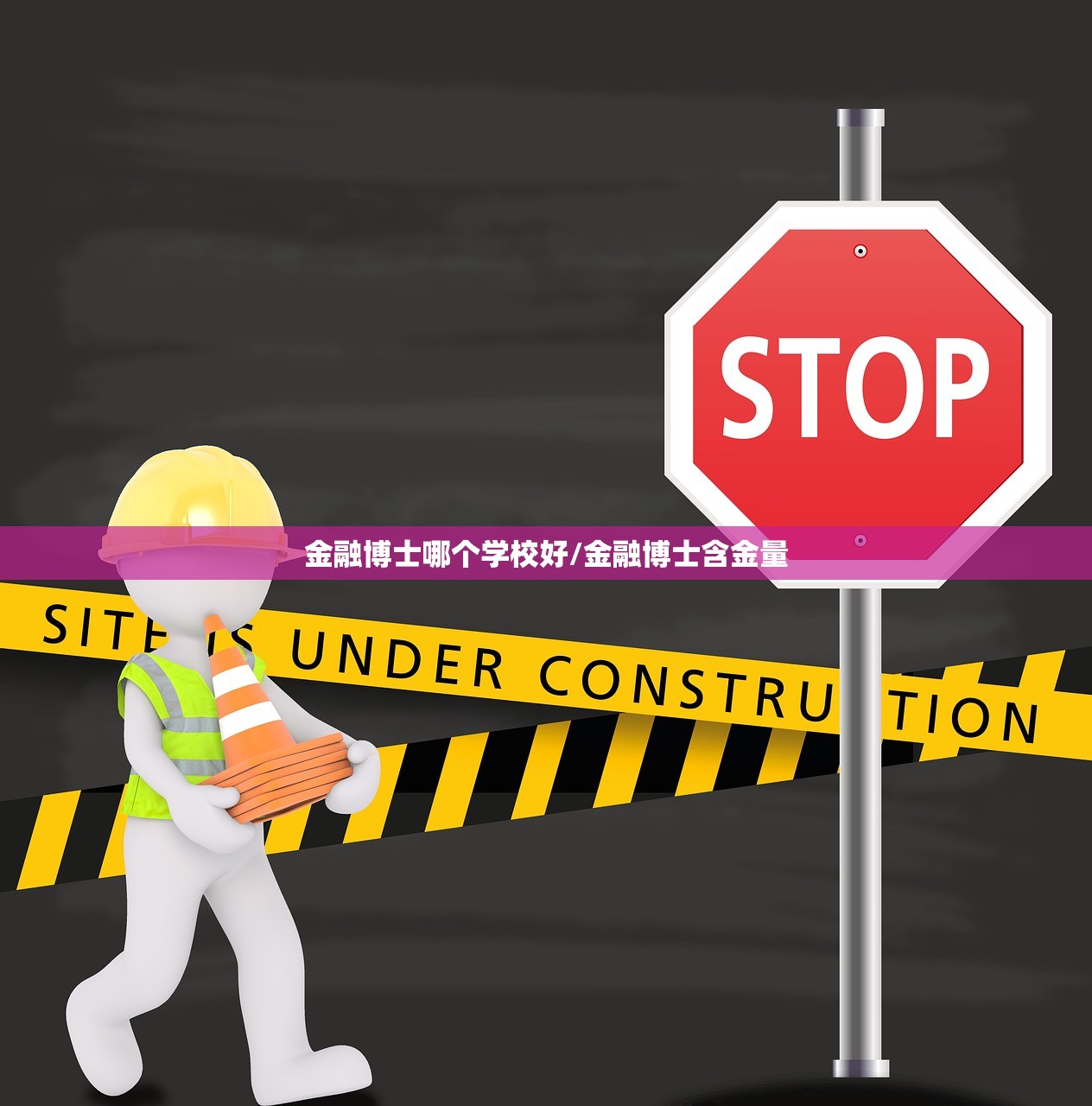 金融博士哪个学校好/金融博士含金量