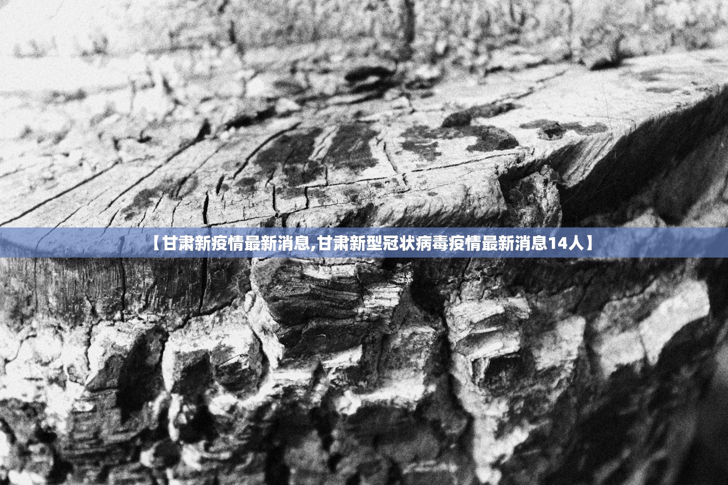 【甘肃新疫情最新消息,甘肃新型冠状病毒疫情最新消息14人】